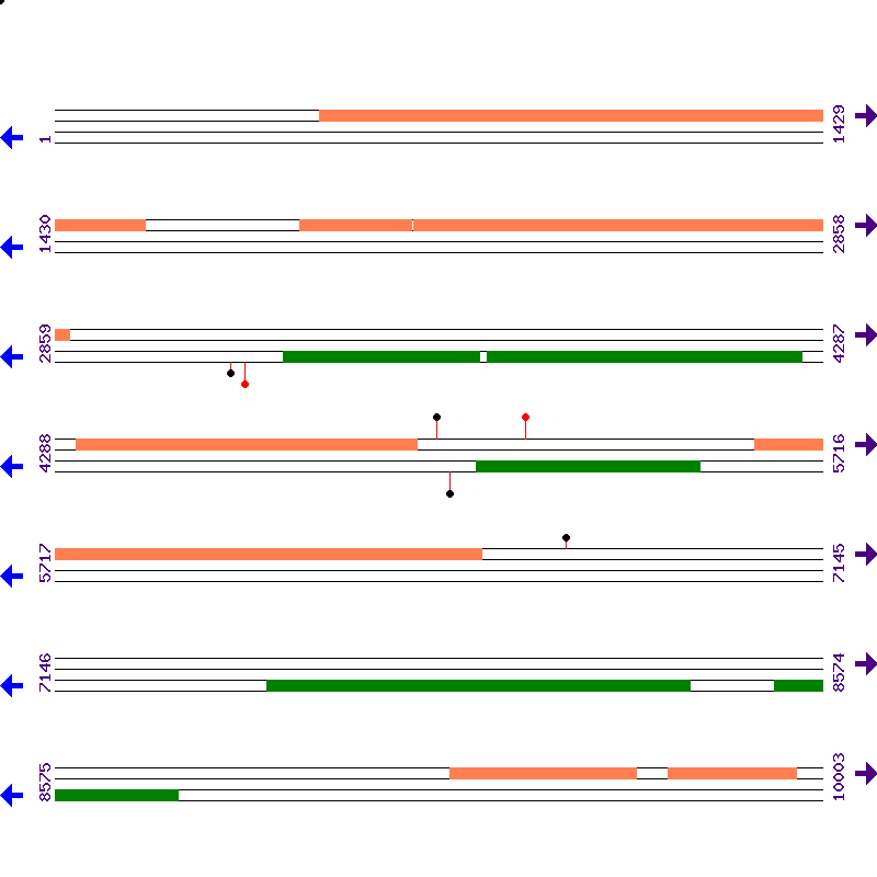 Genome View