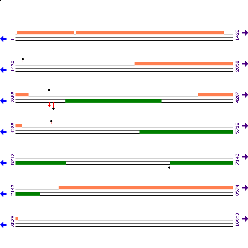 Genome View