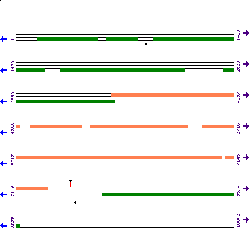 Genome View