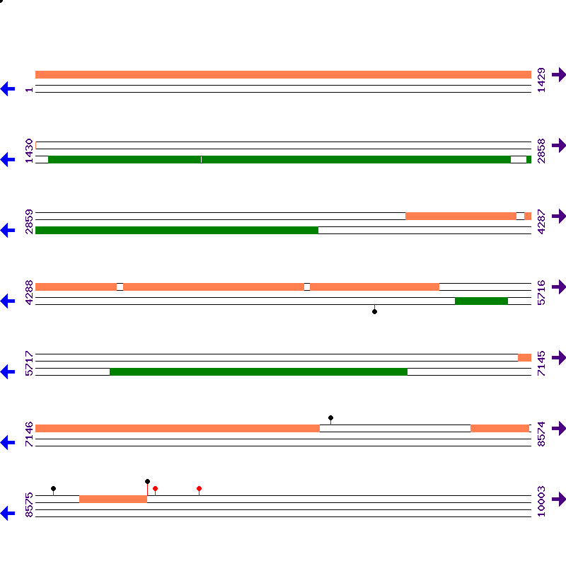 Genome View