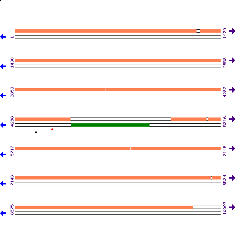 Genome View