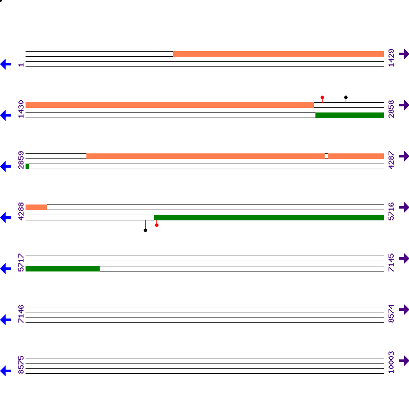 Genome View