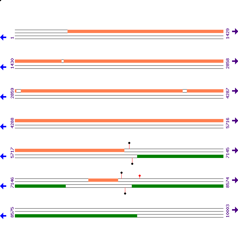 Genome View