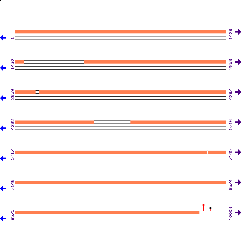 Genome View