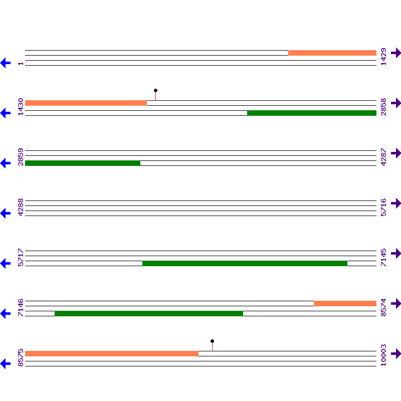 Genome View