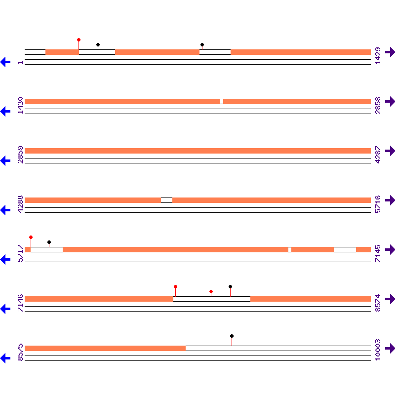 Genome View