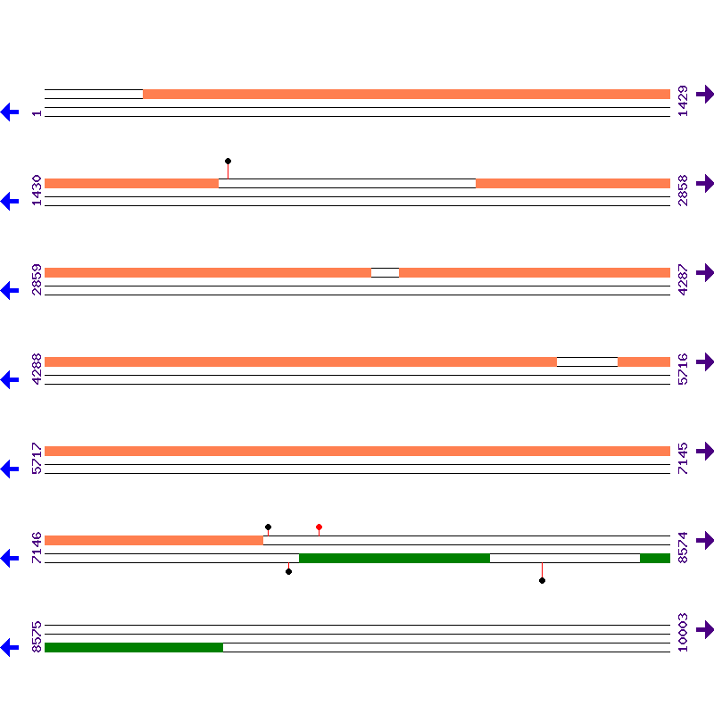 Genome View