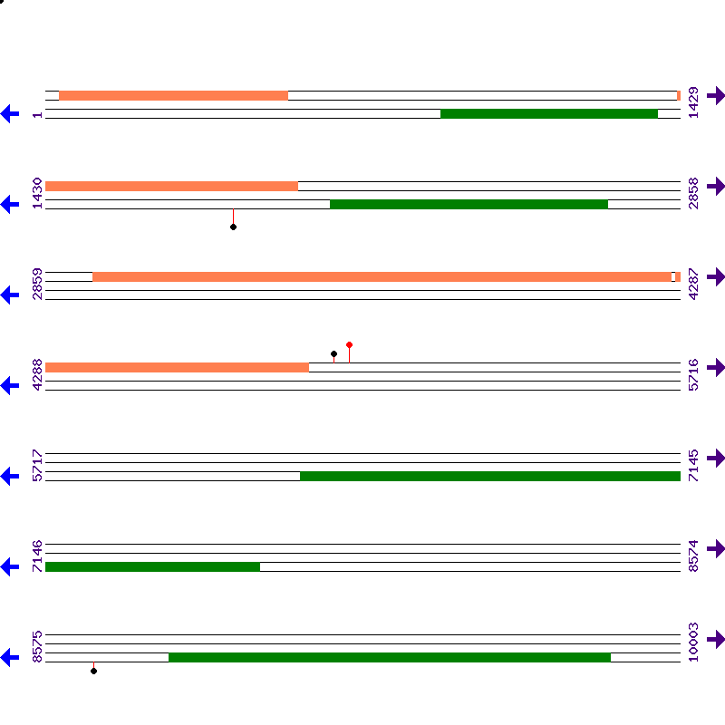 Genome View