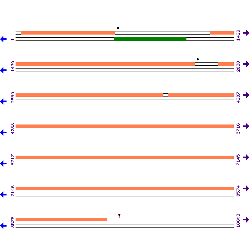 Genome View