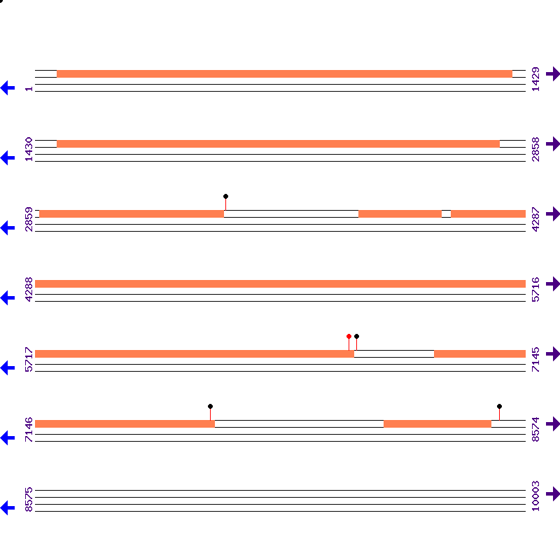 Genome View