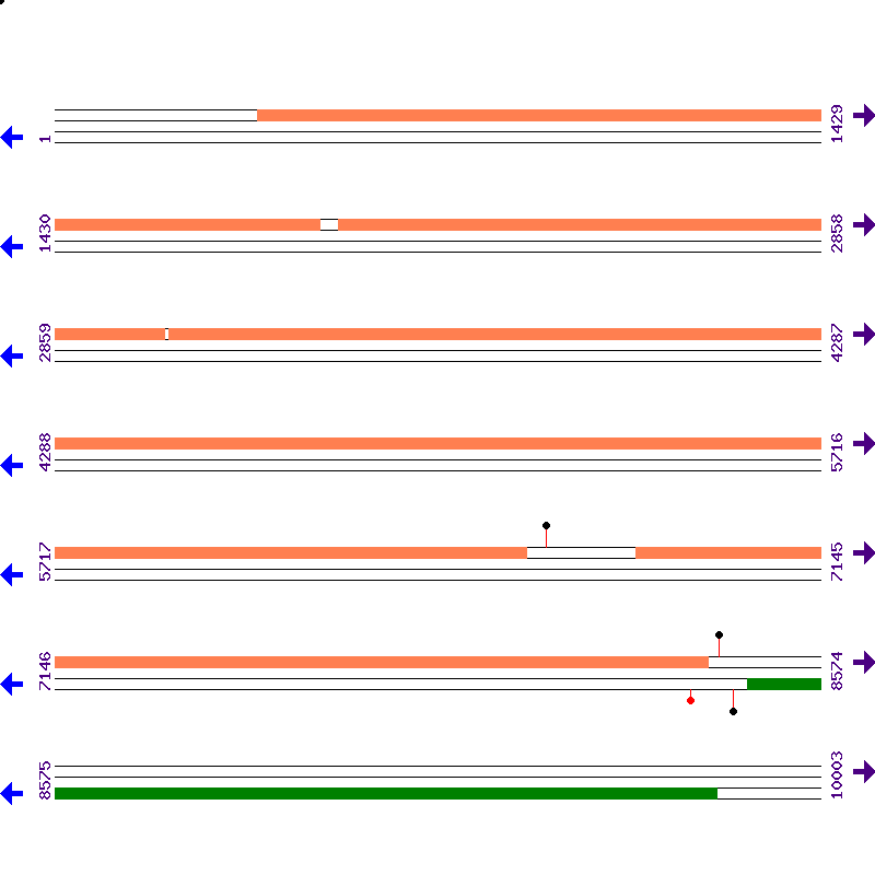 Genome View