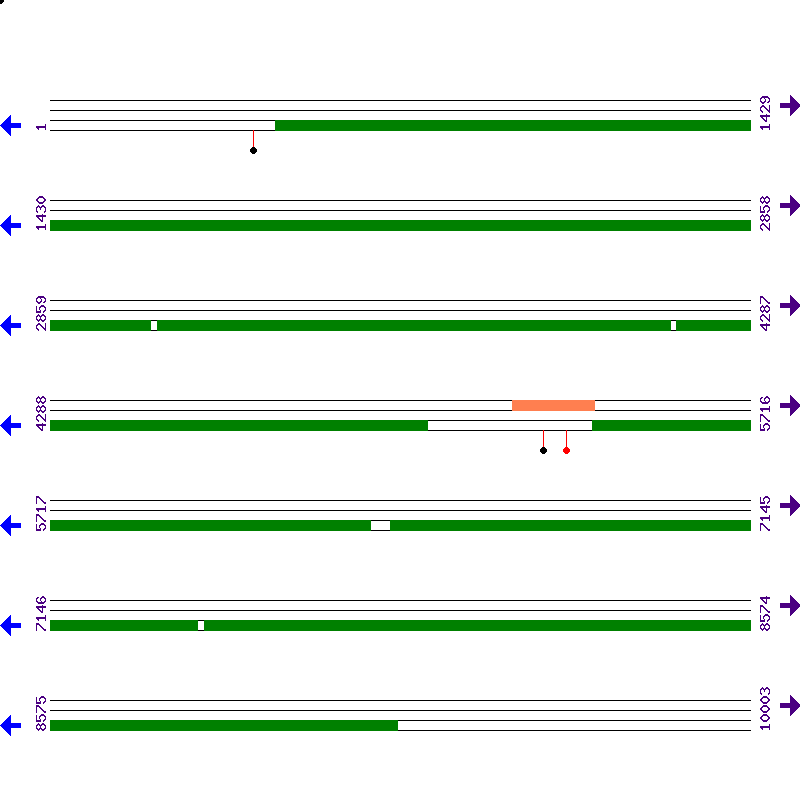 Genome View