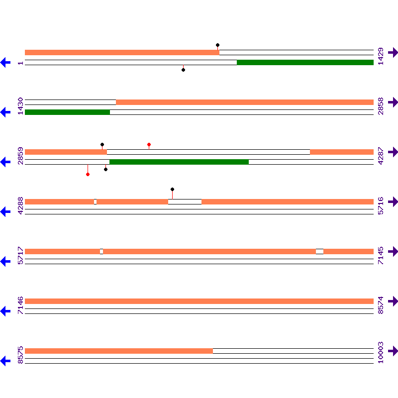 Genome View