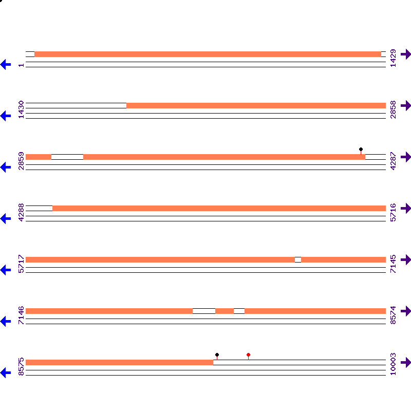 Genome View