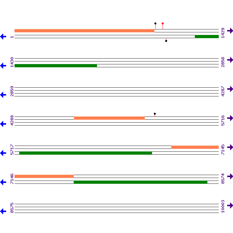 Genome View
