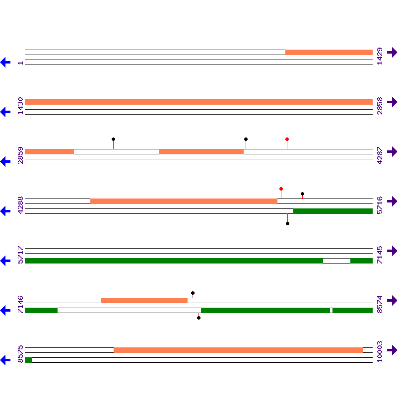 Genome View