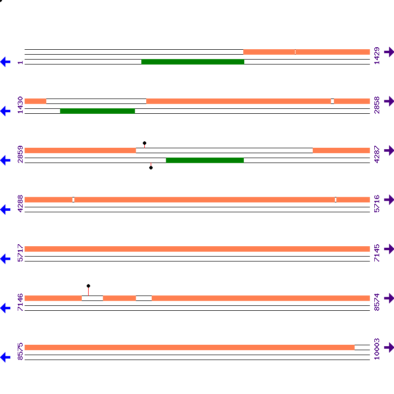 Genome View
