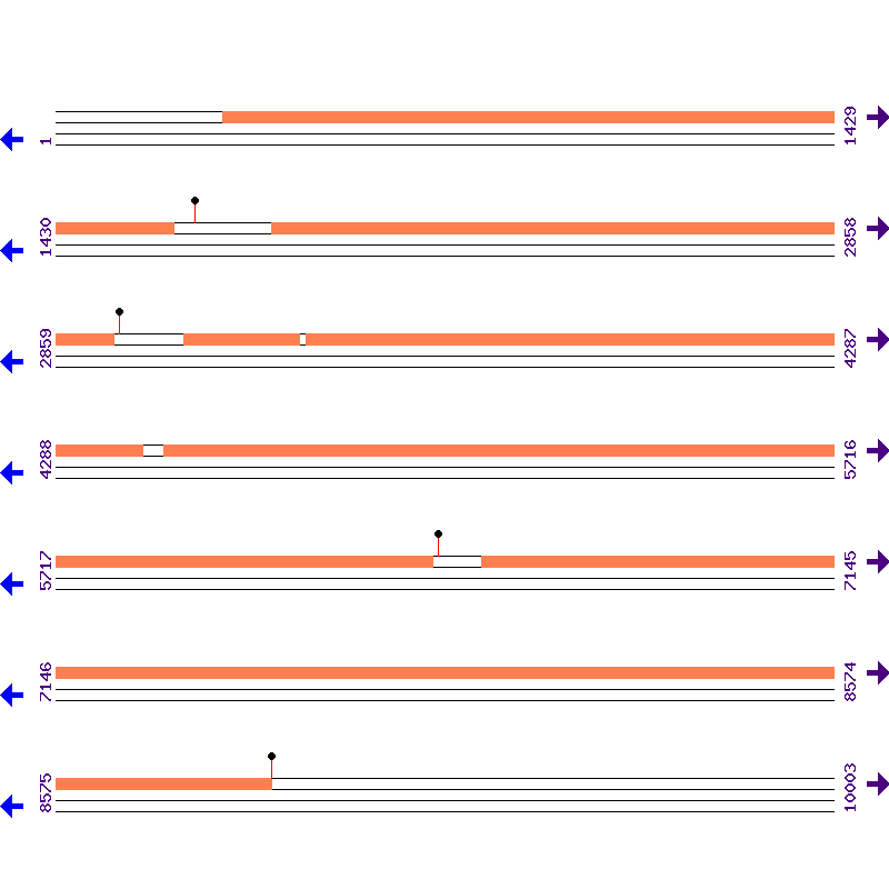 Genome View