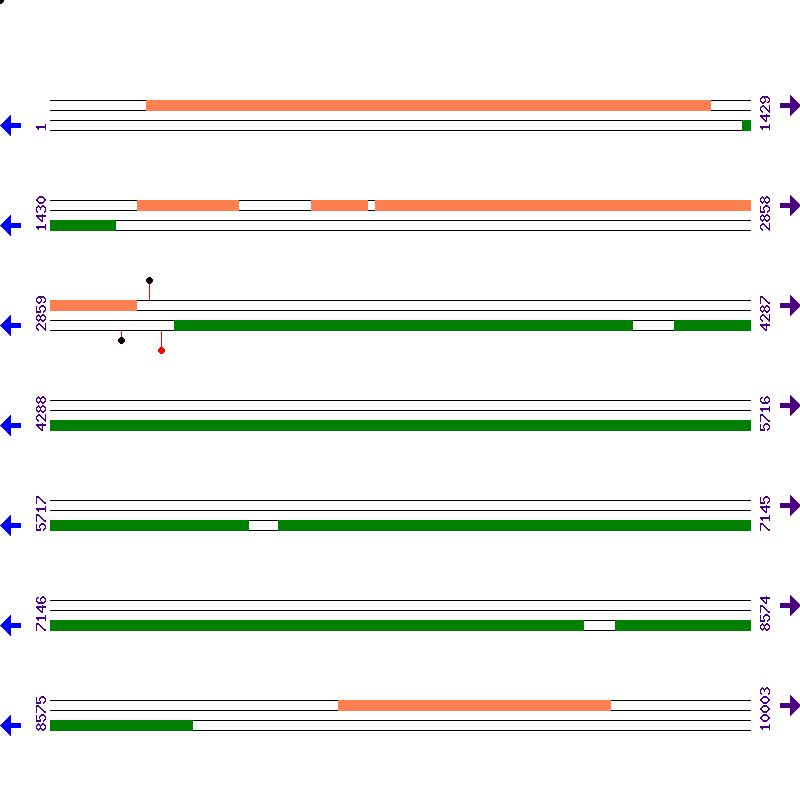 Genome View