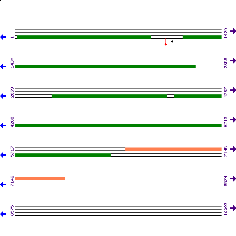 Genome View