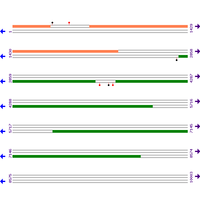 Genome View