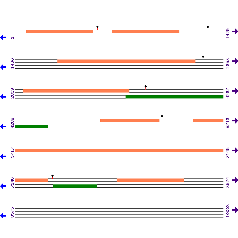 Genome View