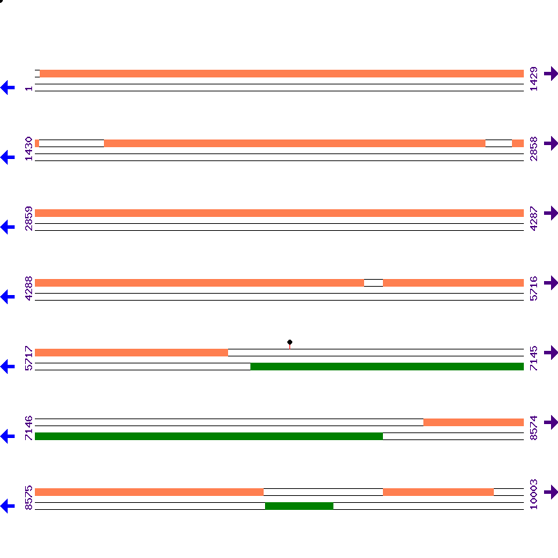 Genome View