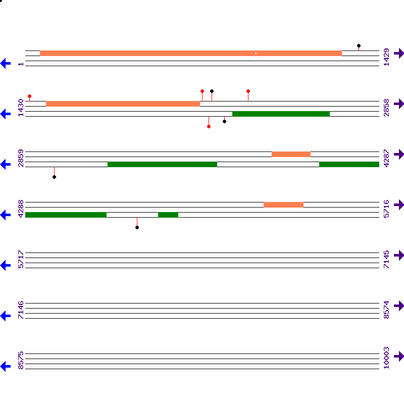 Genome View