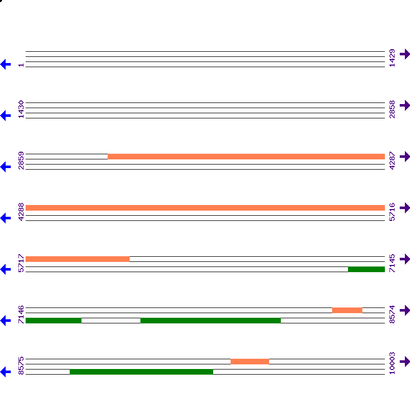 Genome View