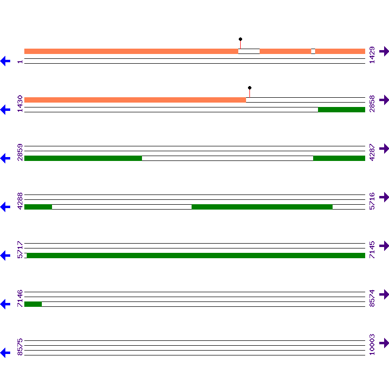 Genome View
