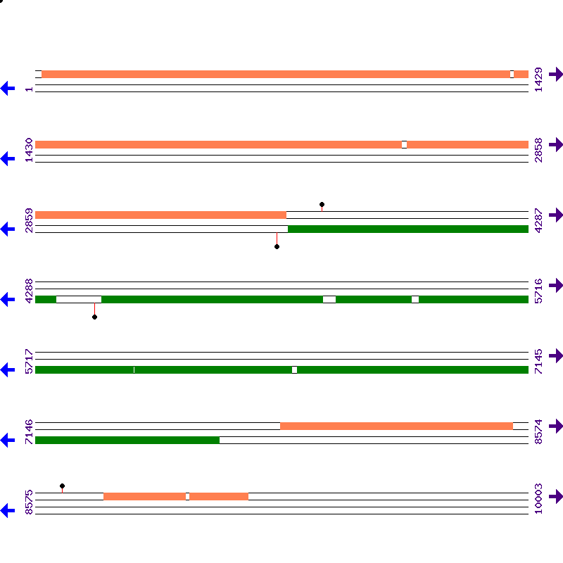 Genome View