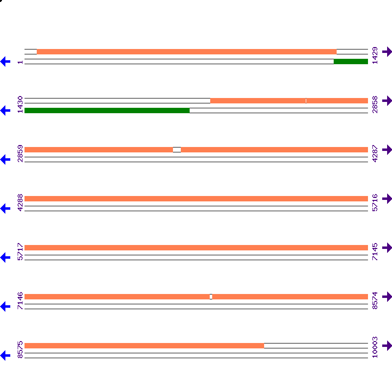 Genome View