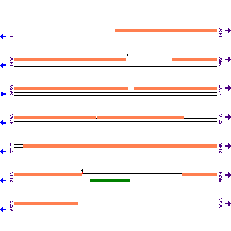 Genome View