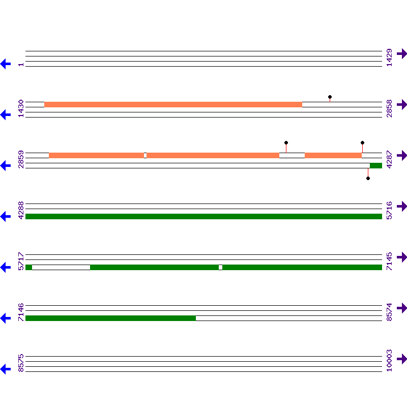 Genome View