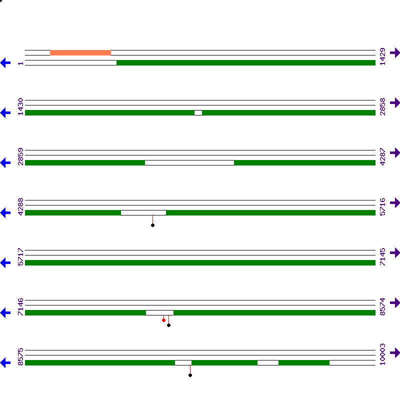 Genome View