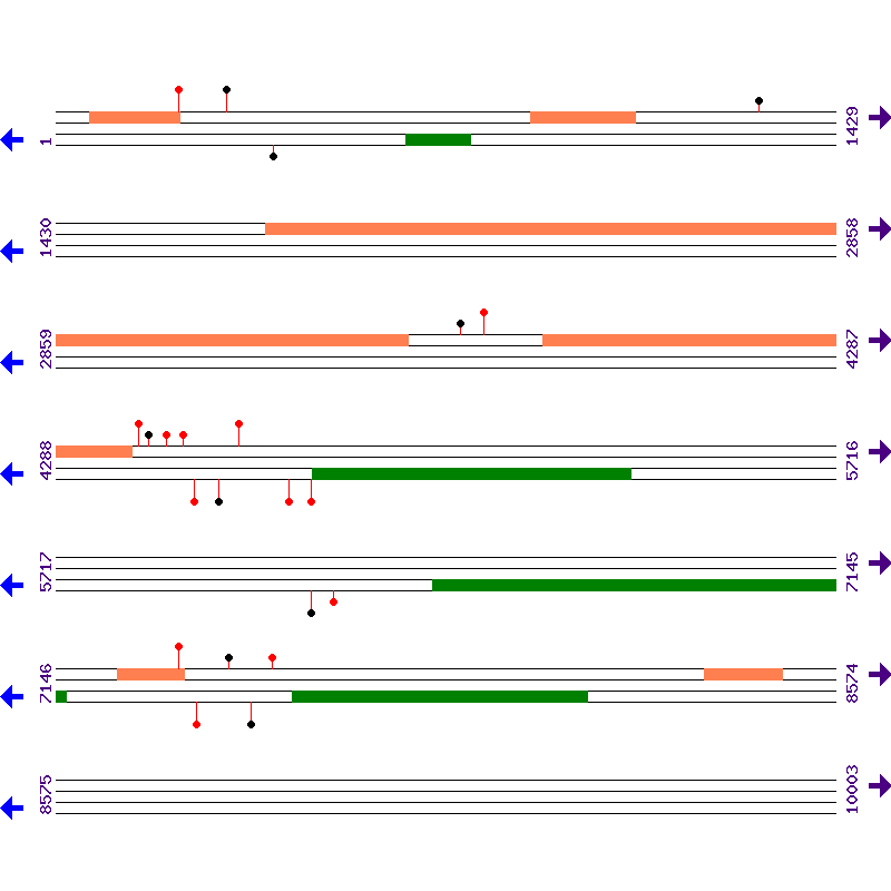 Genome View