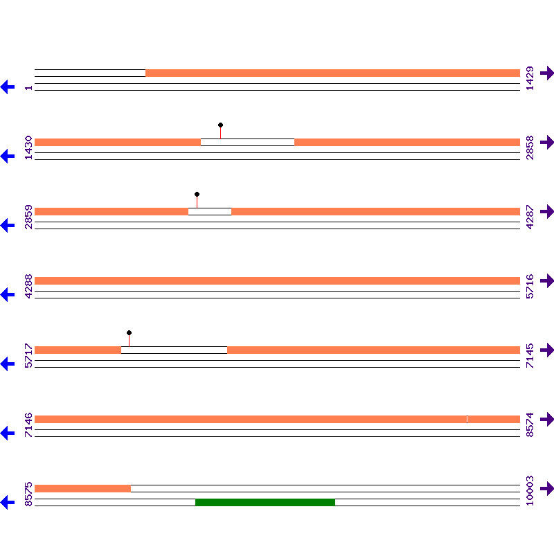 Genome View