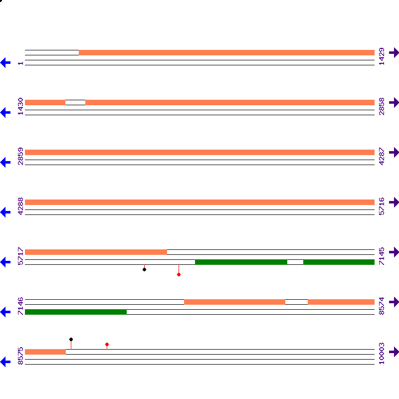 Genome View