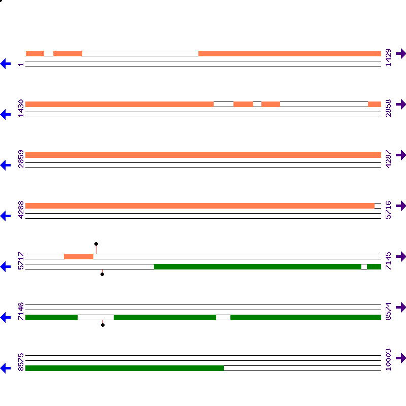 Genome View