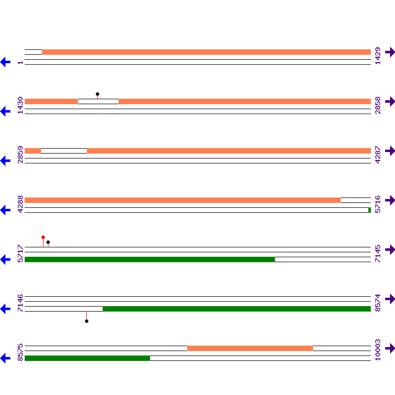 Genome View