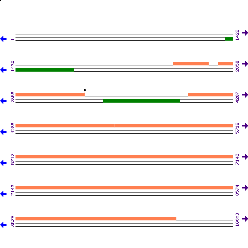 Genome View