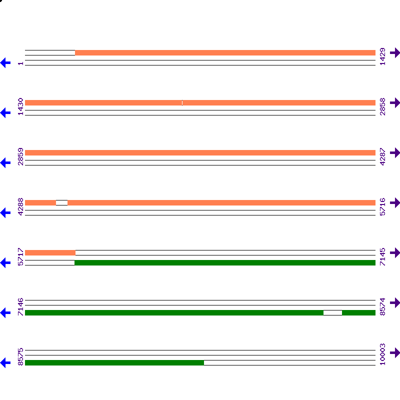 Genome View
