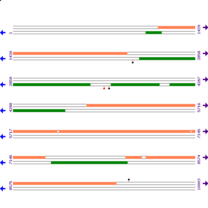 Genome View