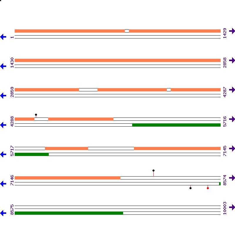 Genome View