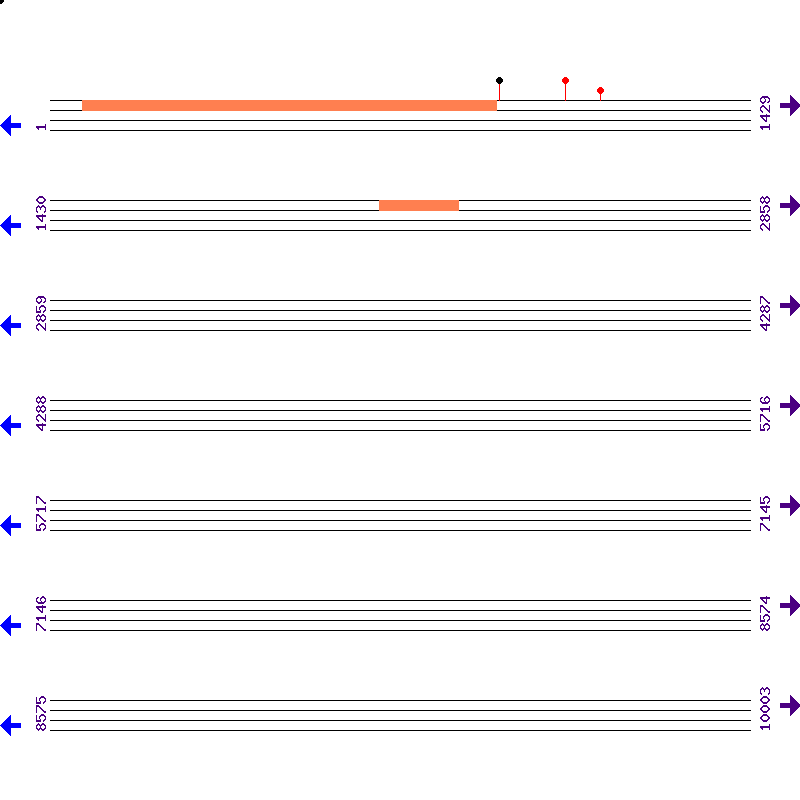 Genome View
