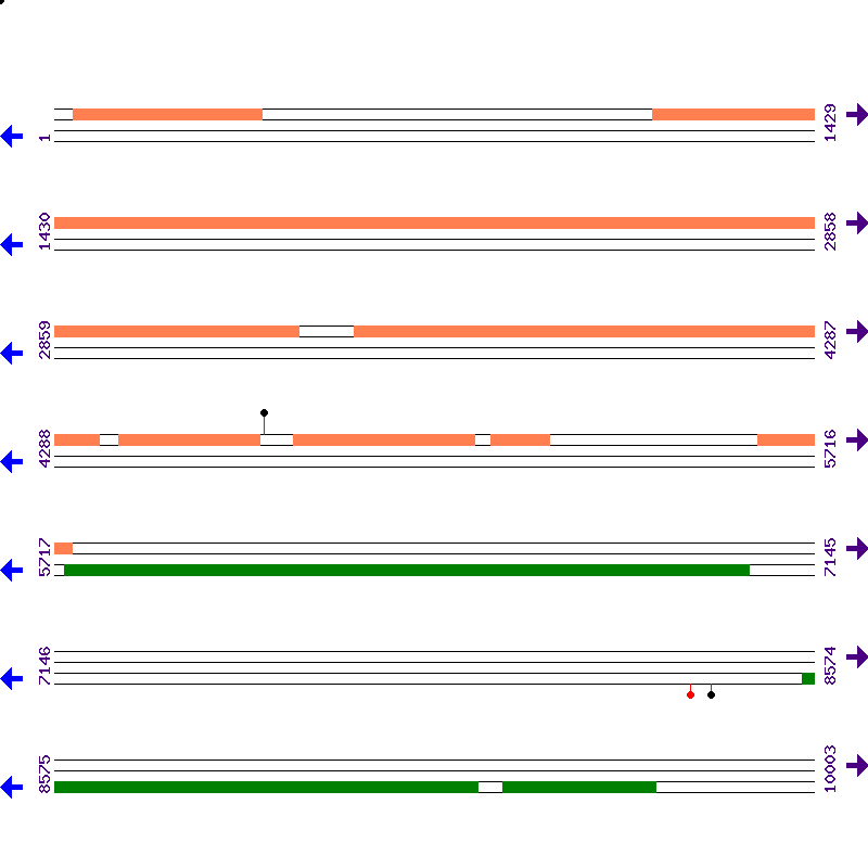 Genome View