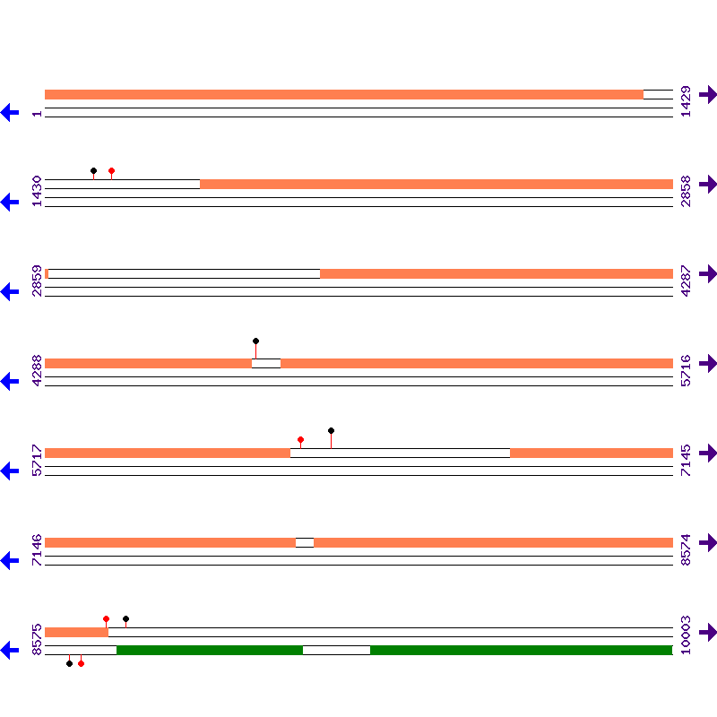Genome View
