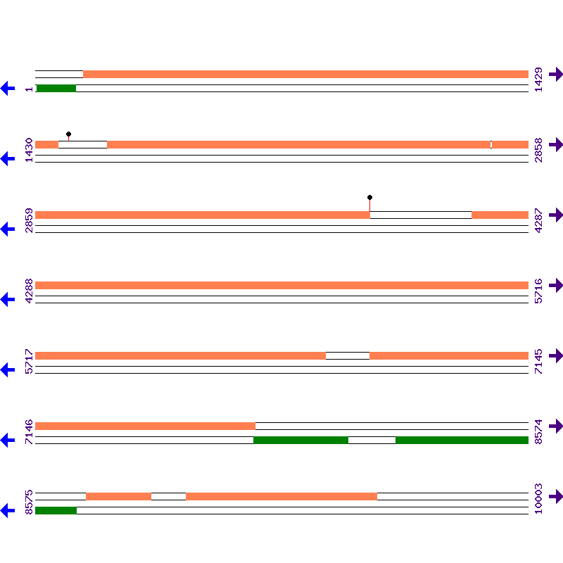 Genome View