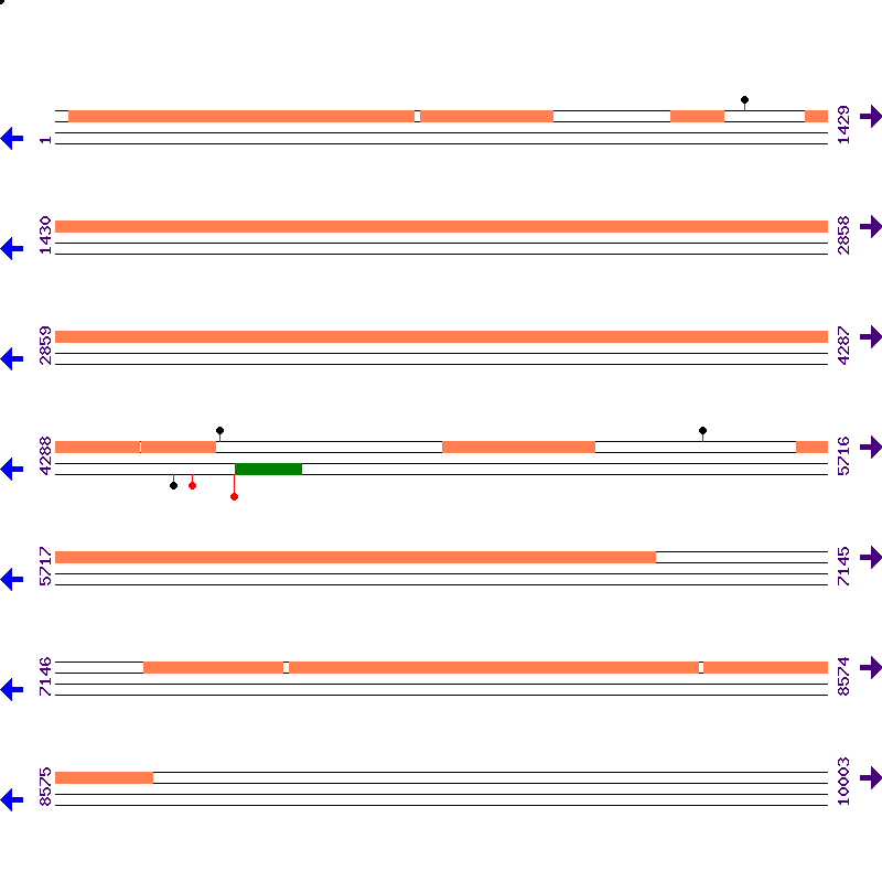 Genome View
