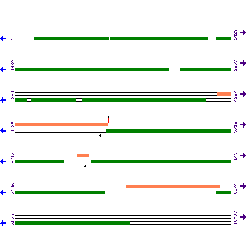 Genome View